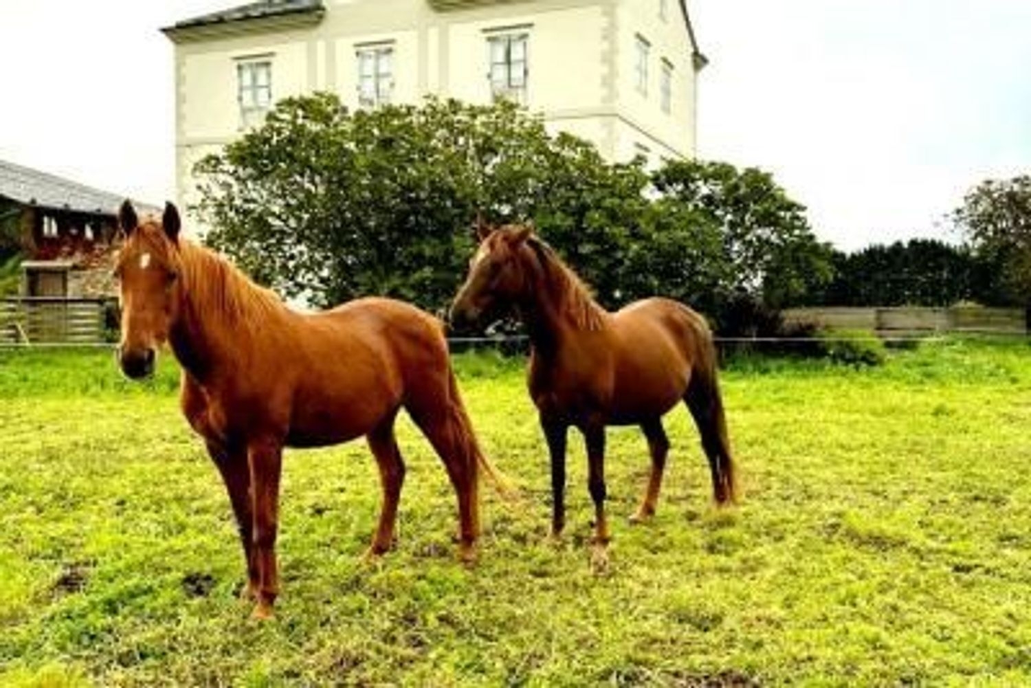  till salu hus Porcia Eo-Navia 4