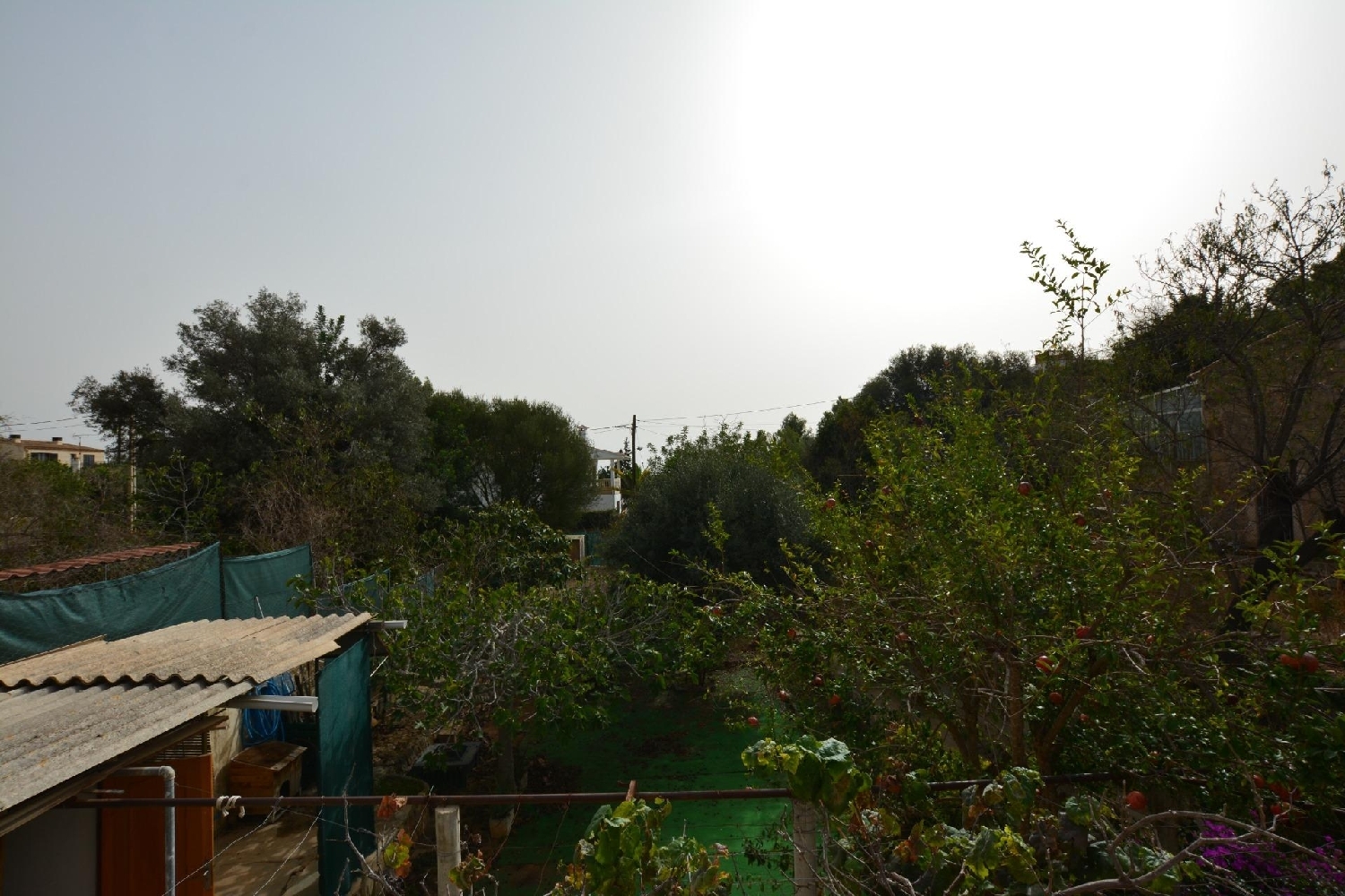  en venta casa Génova Palma 6