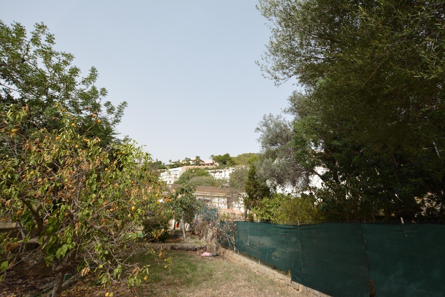  en venta casa Génova Palma 3