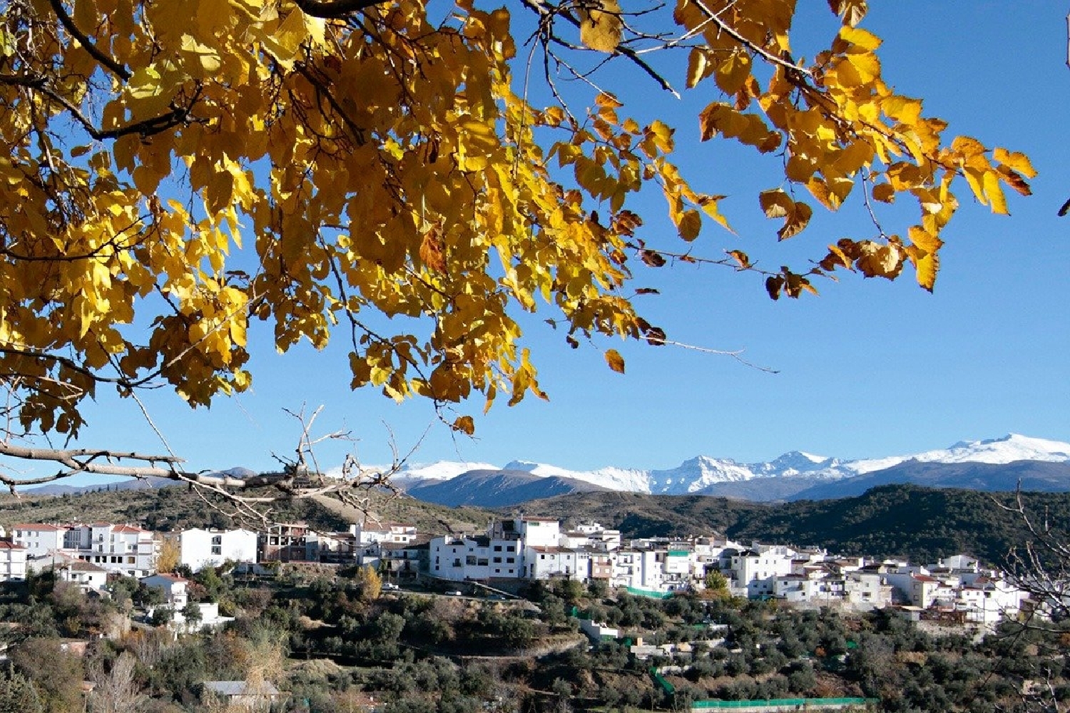 till salu hus Prado Negro Vega De Granada 3