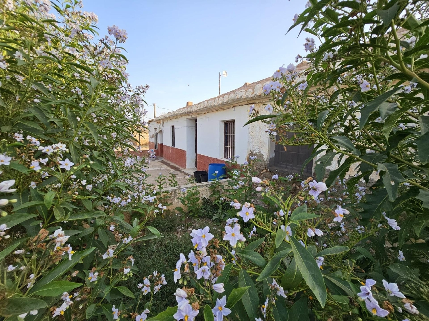 till salu hus Príncipe De Asturias-Belén Huerta De Murcia 2