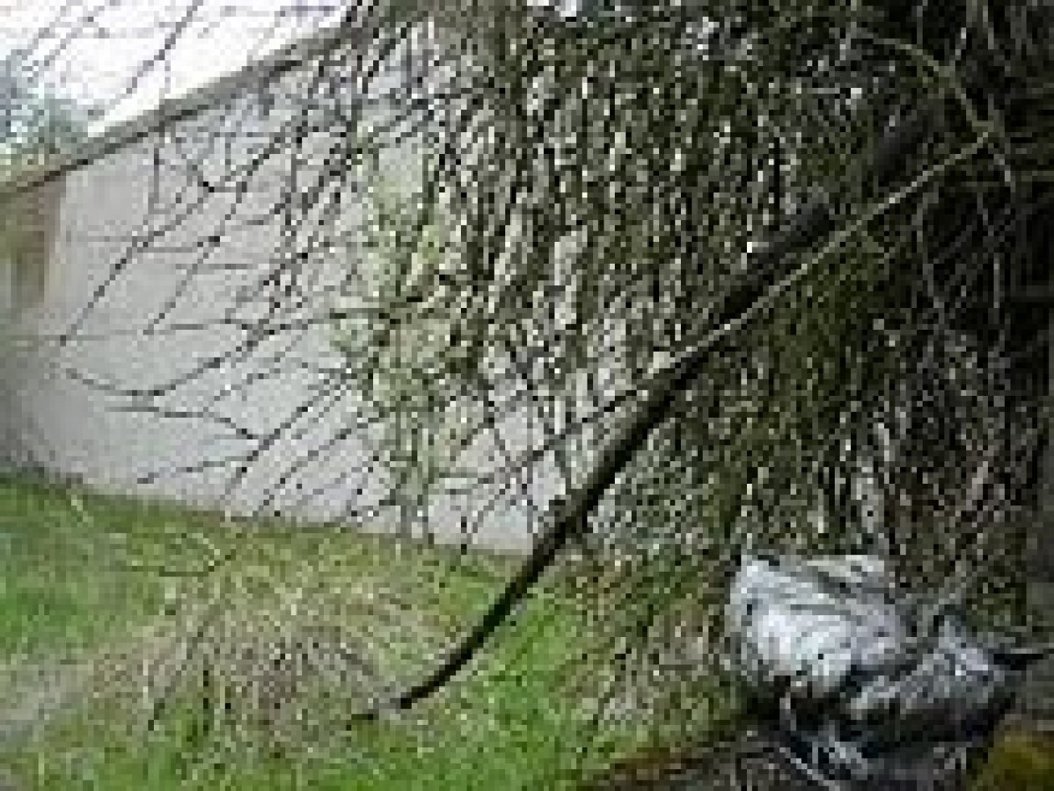 till salu hus Prosperidad-San Cristóbal Campo De Salamanca 4