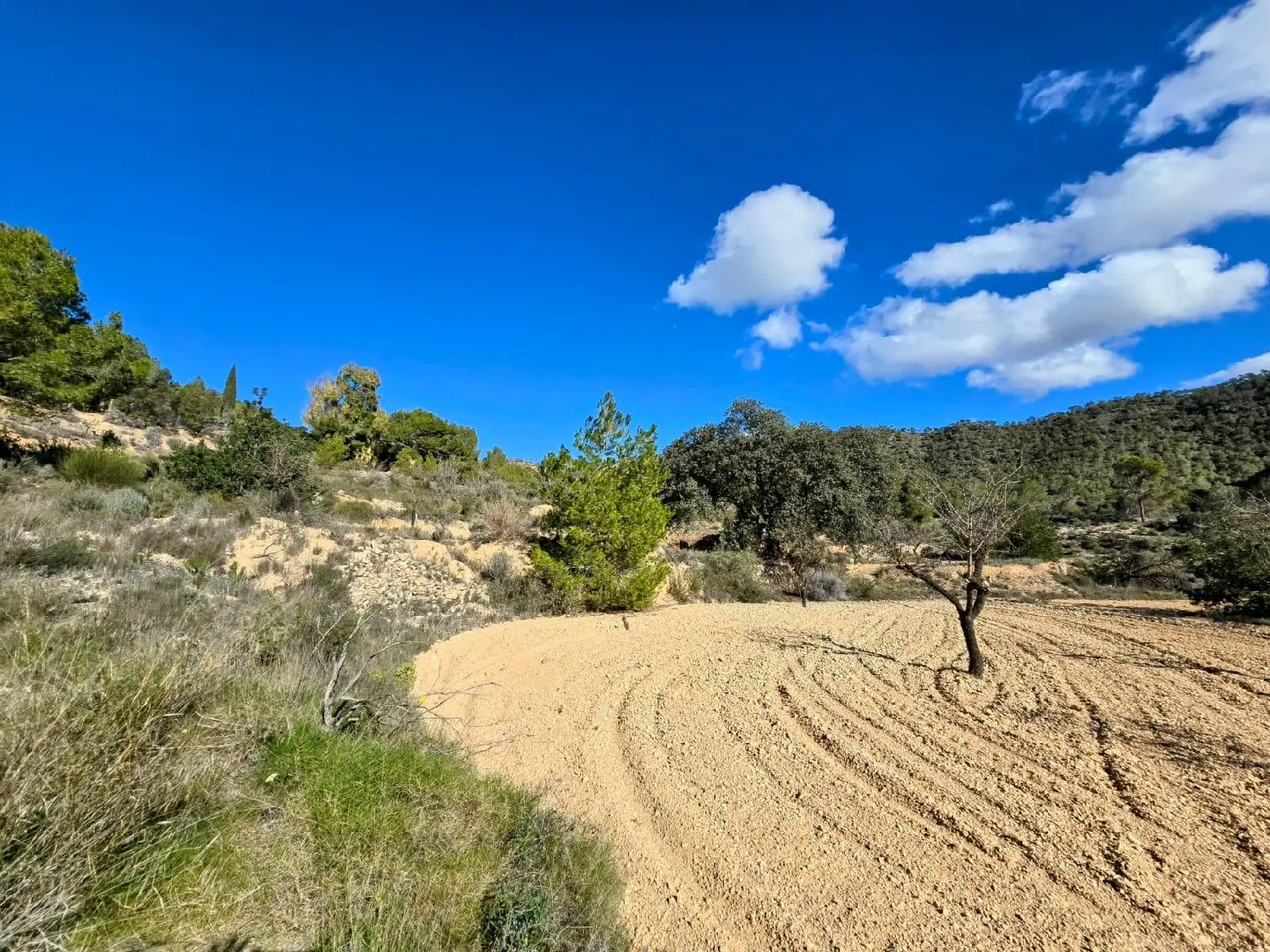  till salu hus Begues Park Baix Llobregat 1