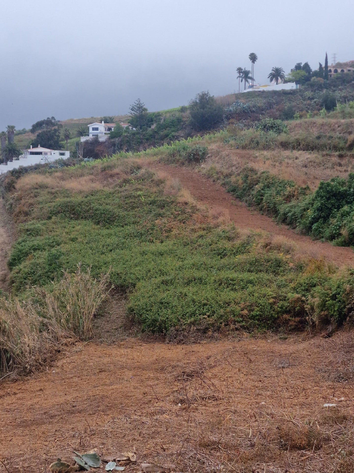 till salu hus Ravelo Alto Zona Norte 2