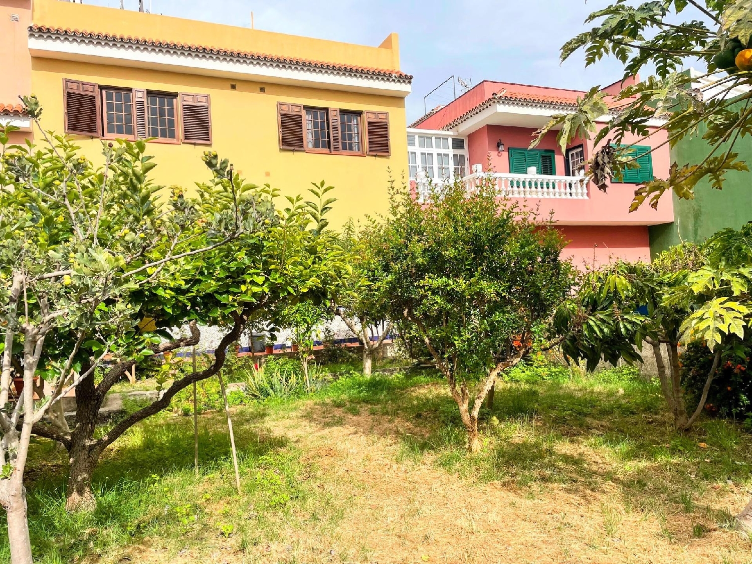  till salu hus Realejo Bajo Zona Norte 1