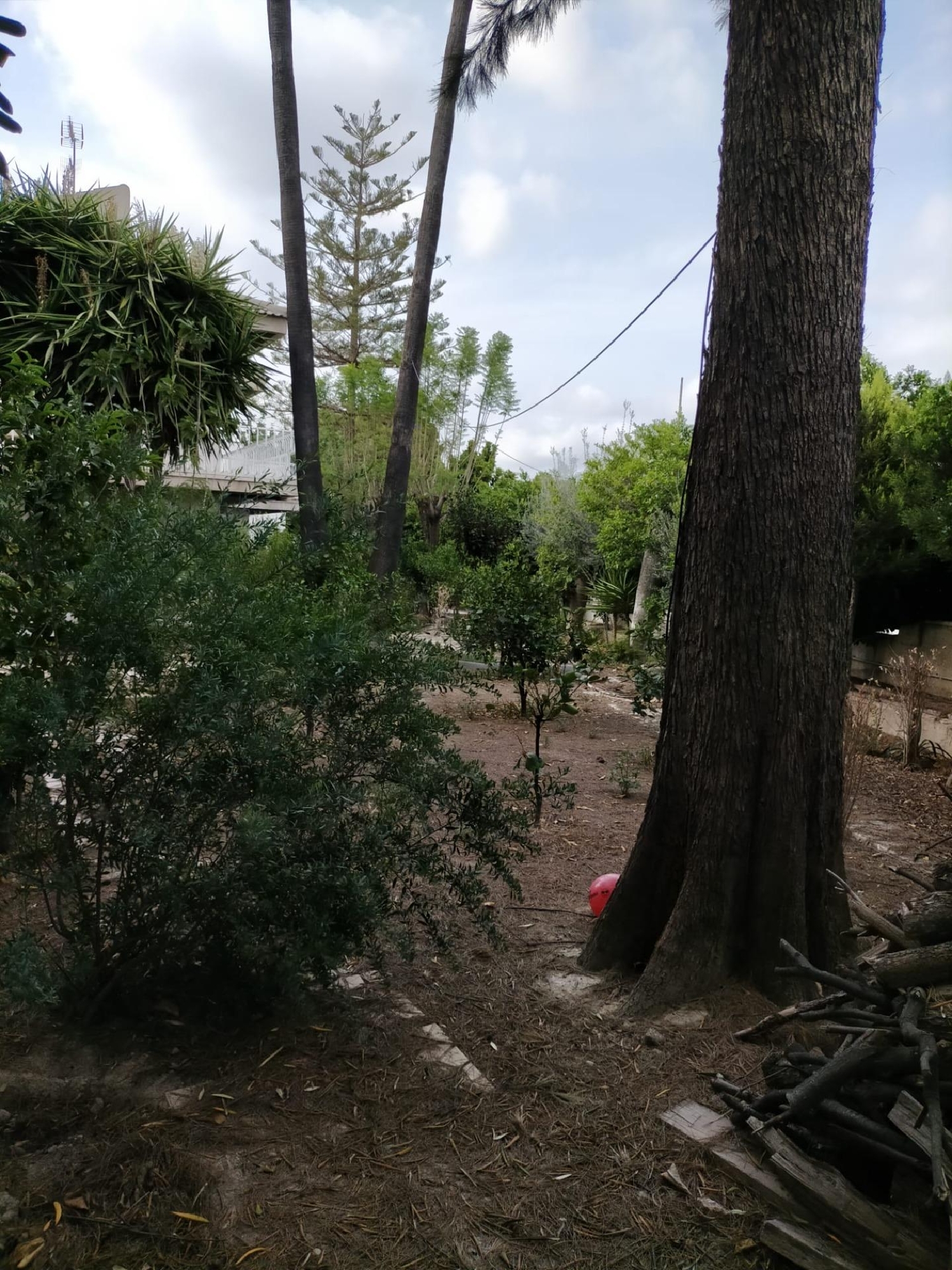  till salu hus Rincón De Seca Baix Segura 8