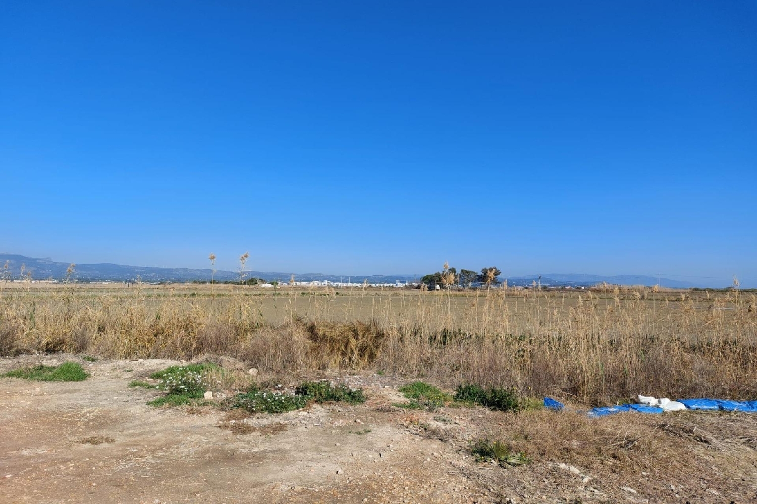  till salu hus Roque Baix Ebre 7