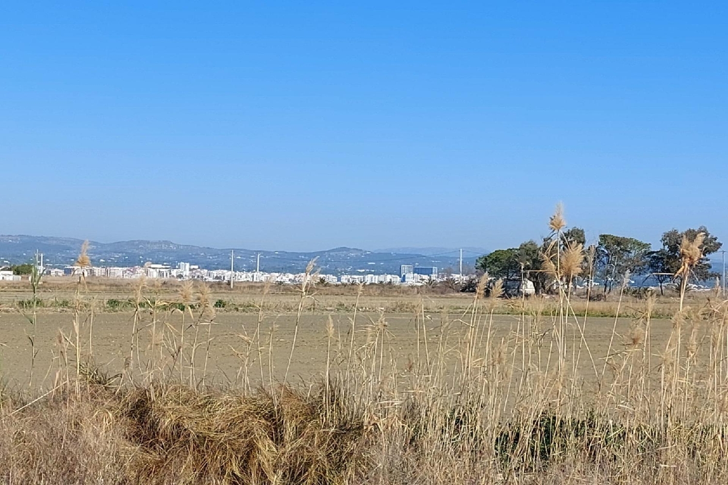  till salu hus Roque Baix Ebre 6