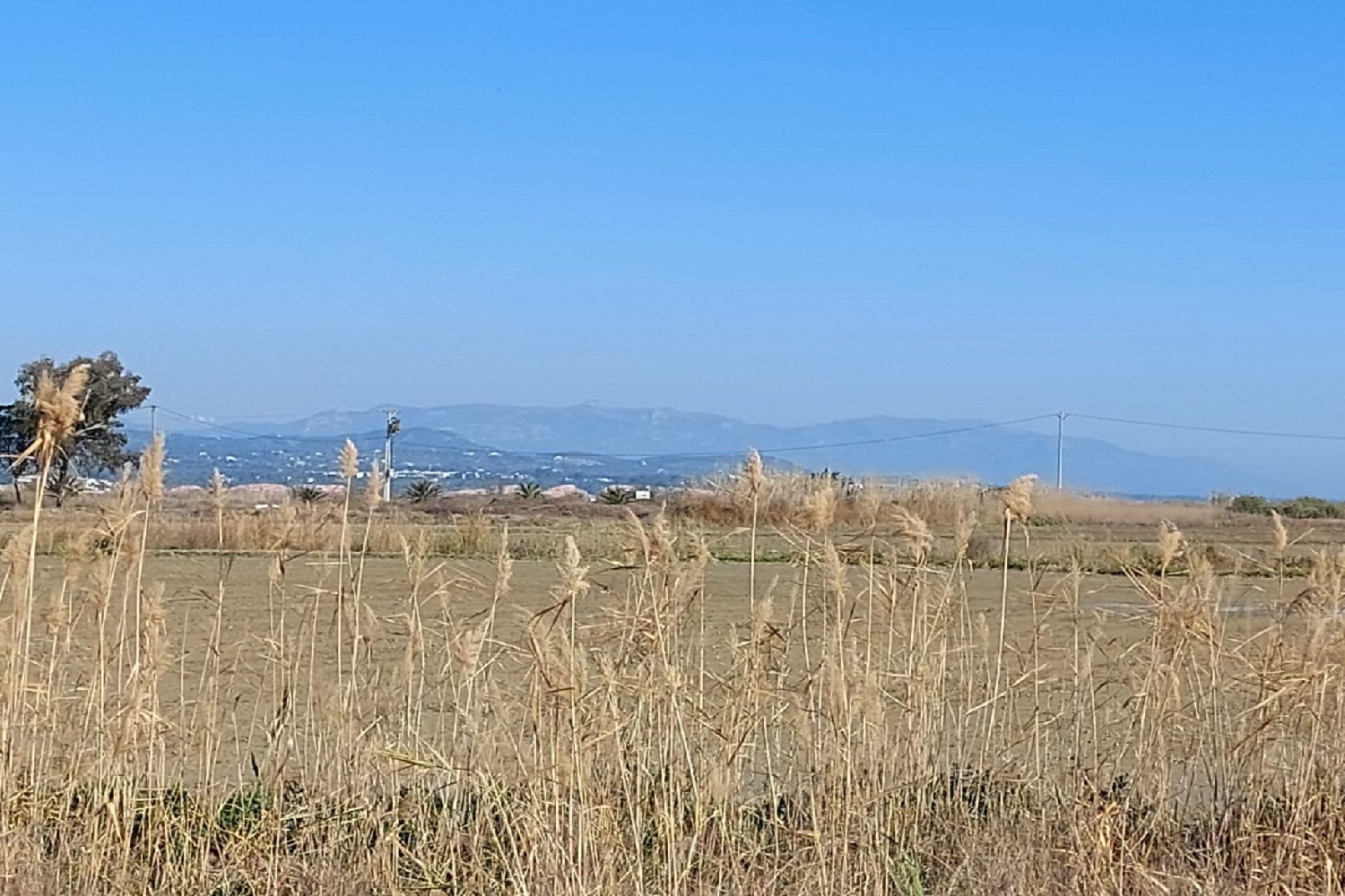  till salu hus Roque Baix Ebre 4