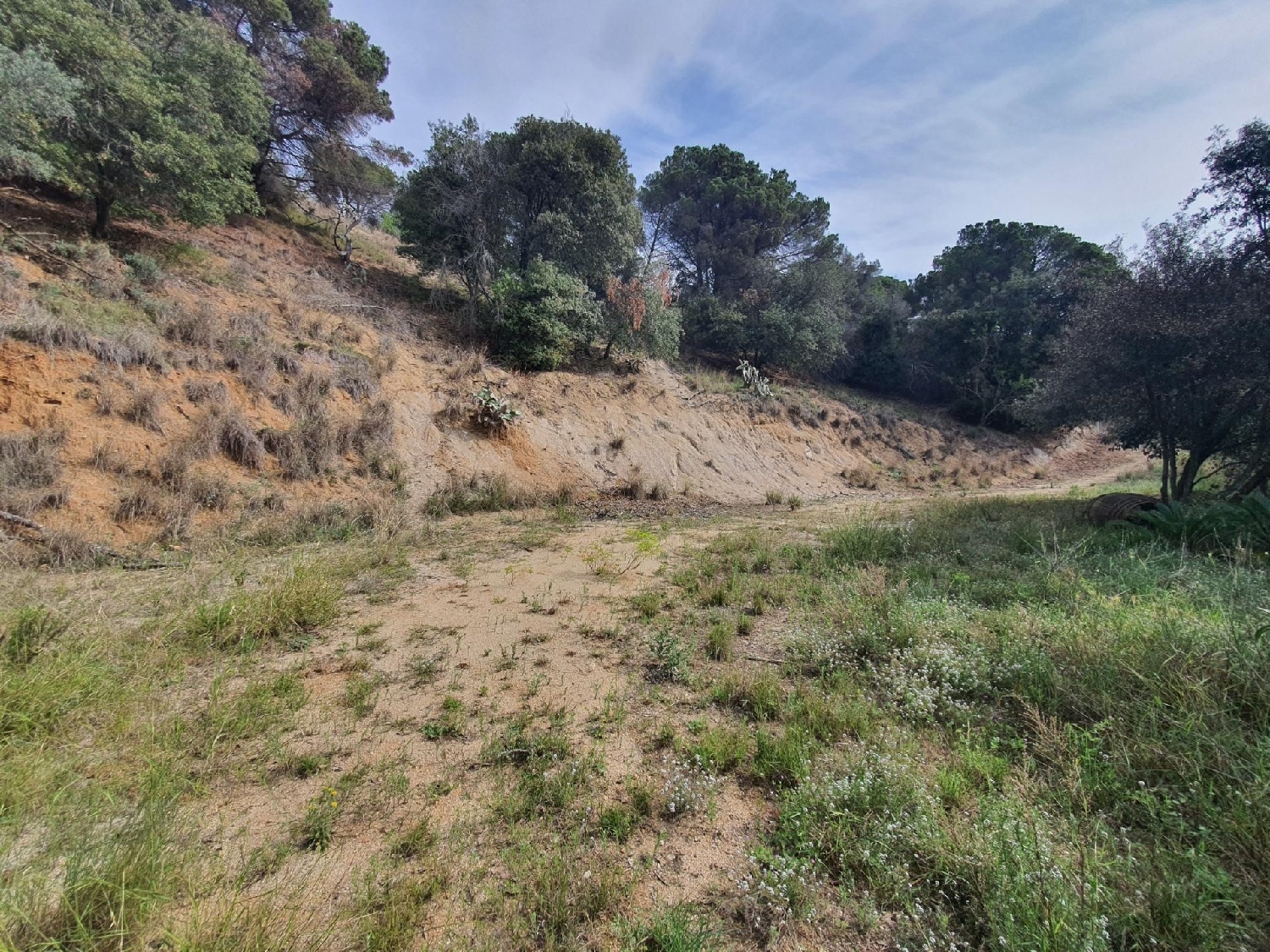  till salu hus Roques Blanques Maresme 5