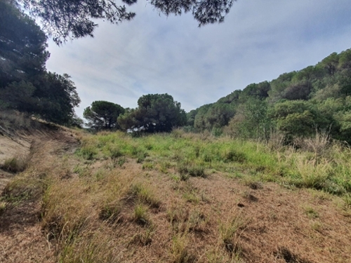 Roques Blanques Maresme hus foto 6220940
