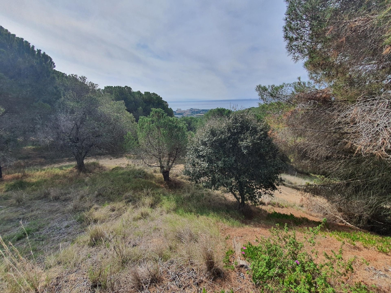 till salu hus Roques Blanques Maresme 3