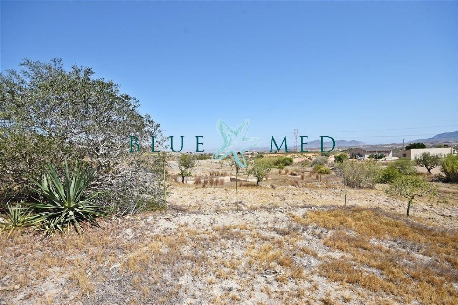 till salu hus San Isidro Campo De Cartagena 3