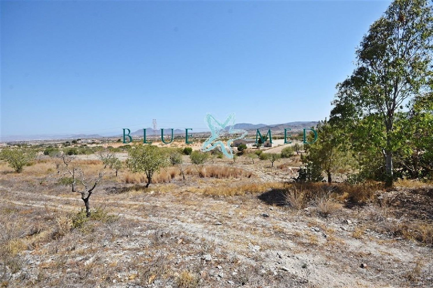 till salu hus San Isidro Campo De Cartagena 2