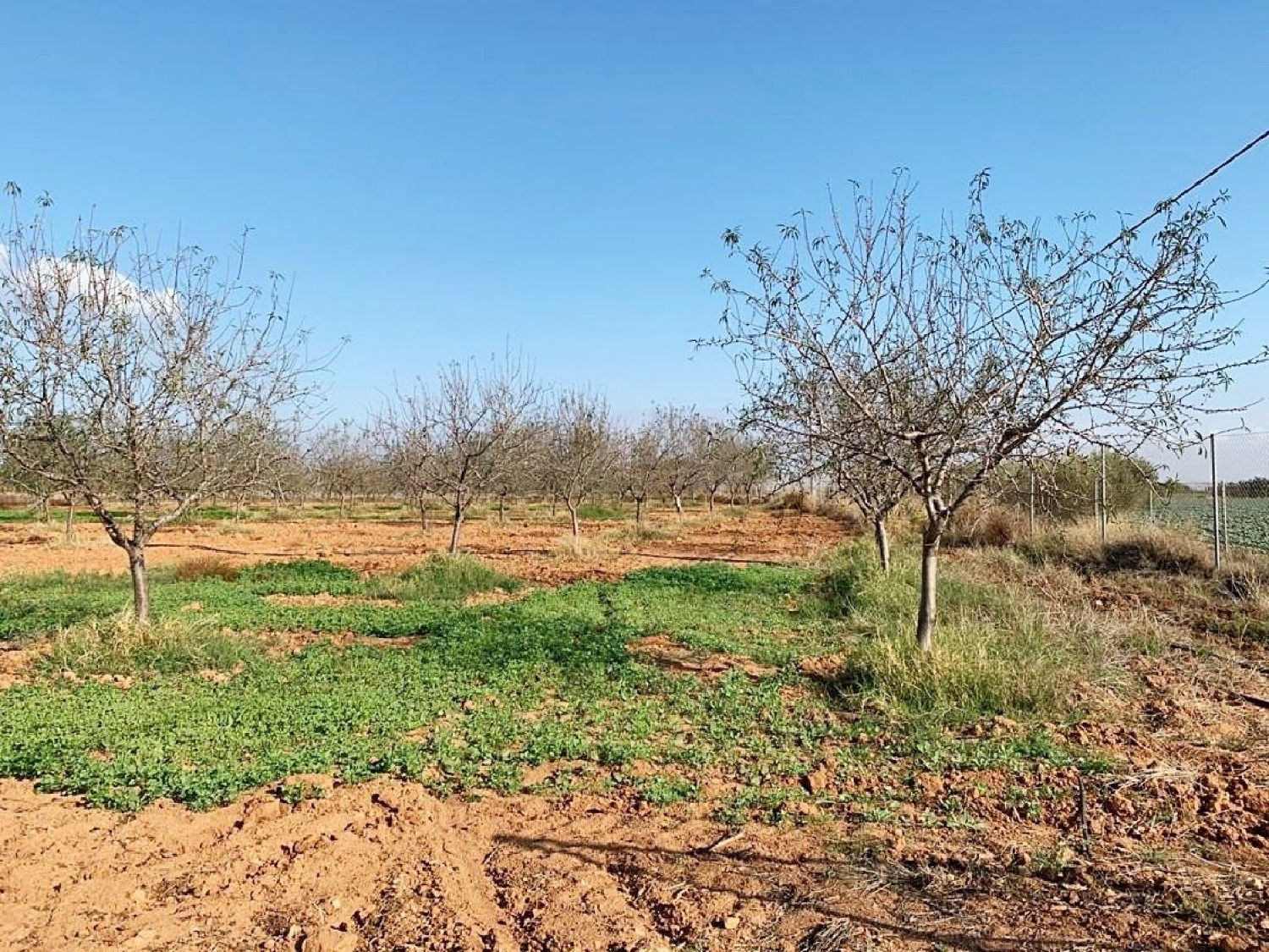  till salu hus San Isidro Campo De Cartagena 1