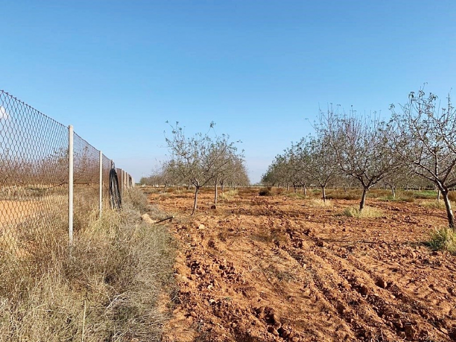  till salu hus San Isidro Campo De Cartagena 7