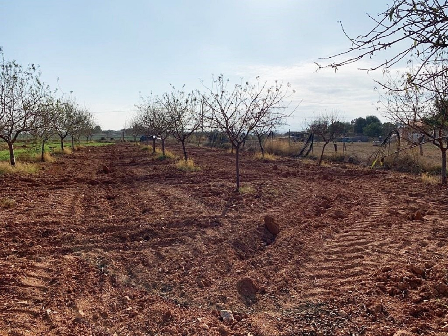  till salu hus San Isidro Campo De Cartagena 4