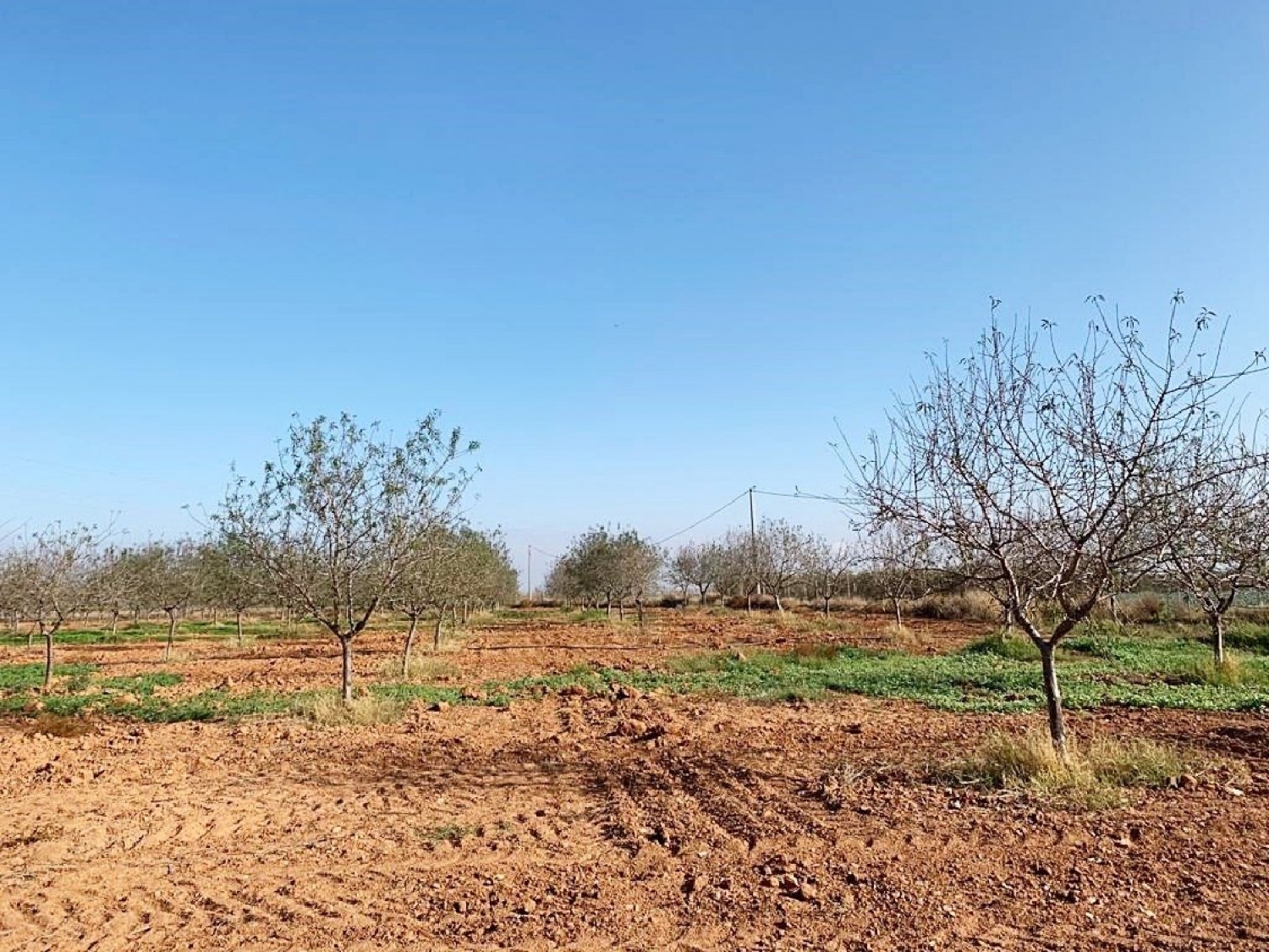 till salu hus San Isidro Campo De Cartagena 3