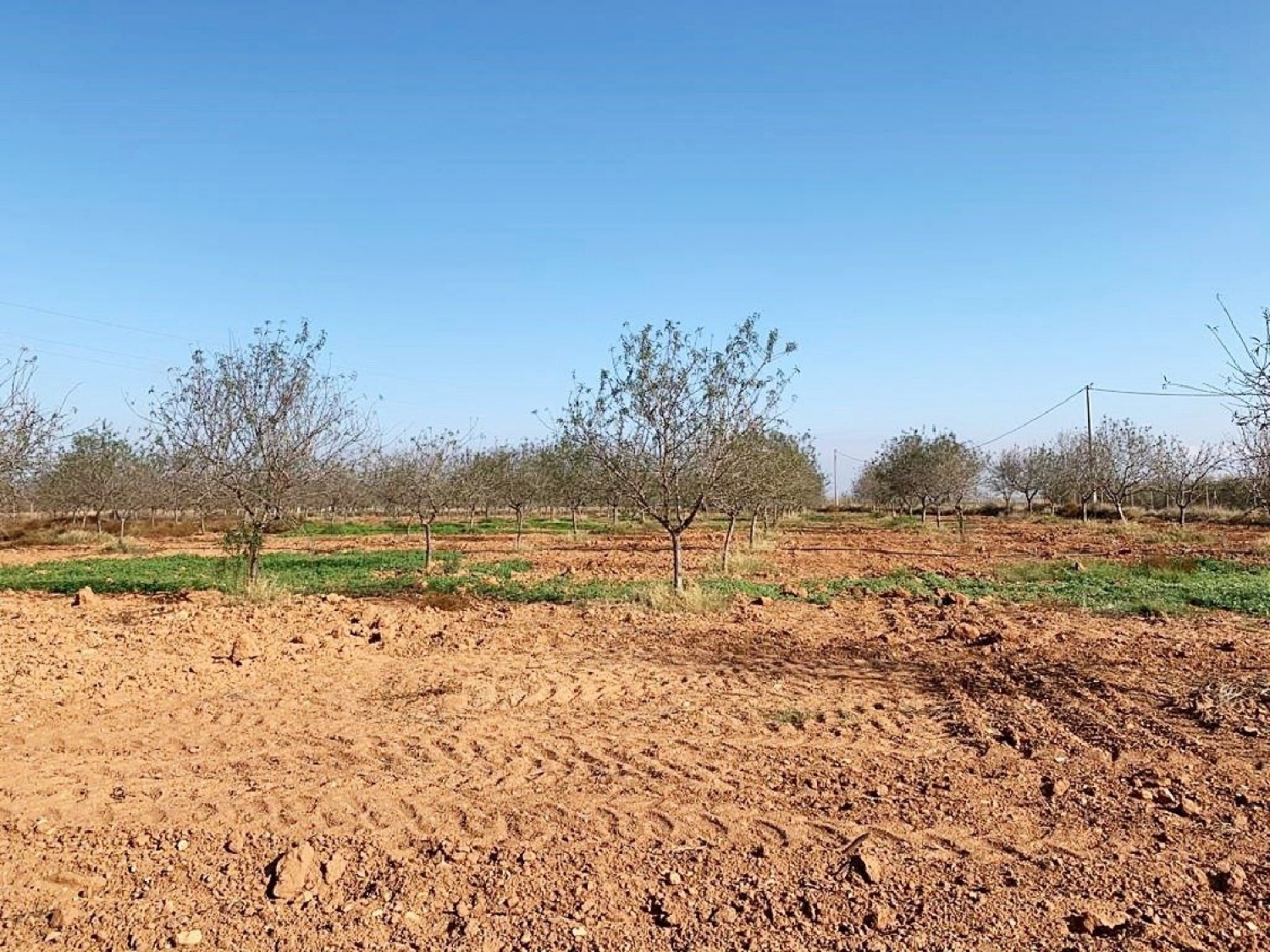  till salu hus San Isidro Campo De Cartagena 6