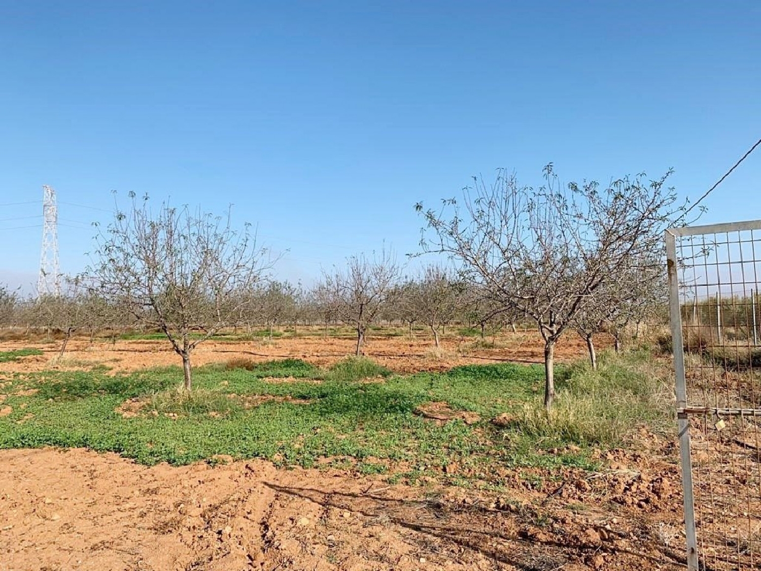  till salu hus San Isidro Campo De Cartagena 5