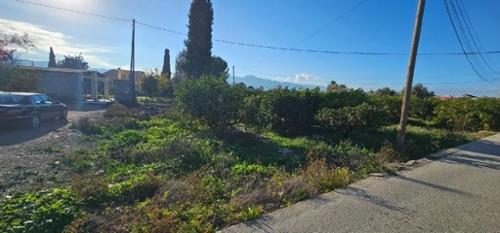 San José De La Vega Huerta De Murcia hus foto 6226184