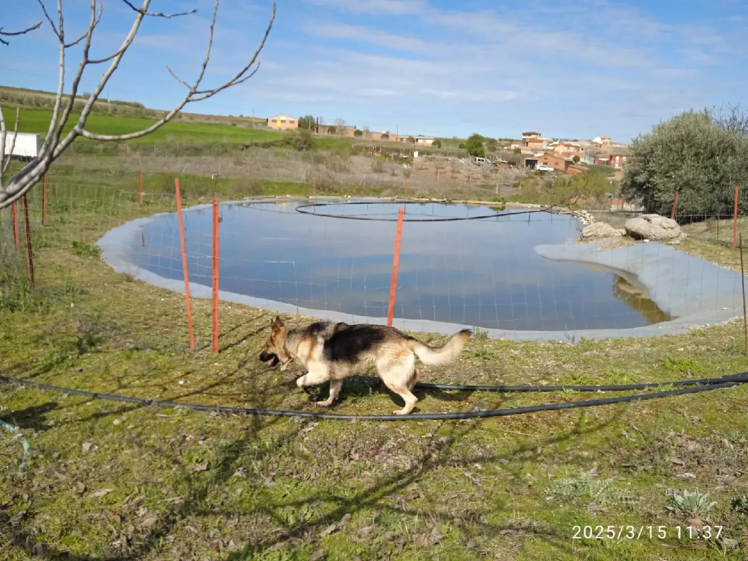  till salu hus San Martín De Montalbán Jara (La) 7