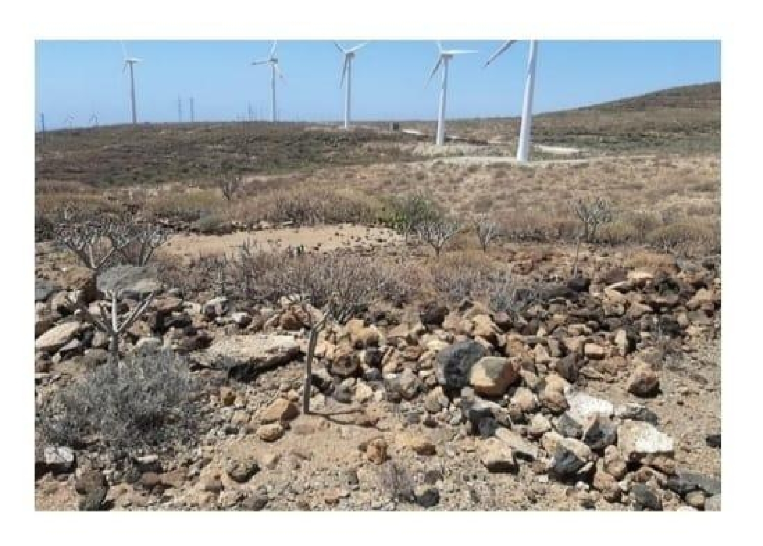 till salu hus San Miguel De Tajao Zona Sureste 2