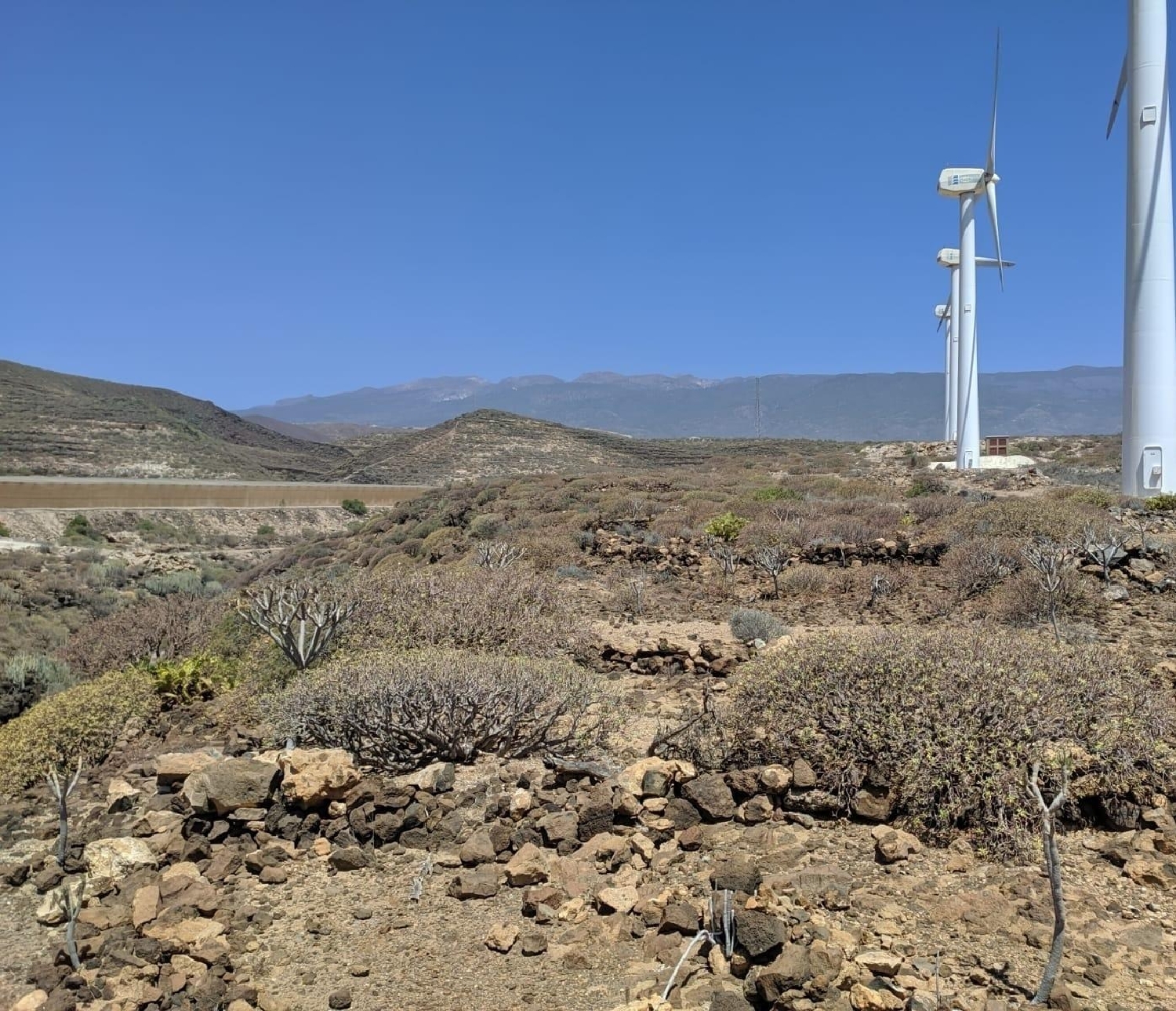  till salu hus San Miguel De Tajao Zona Sureste 4