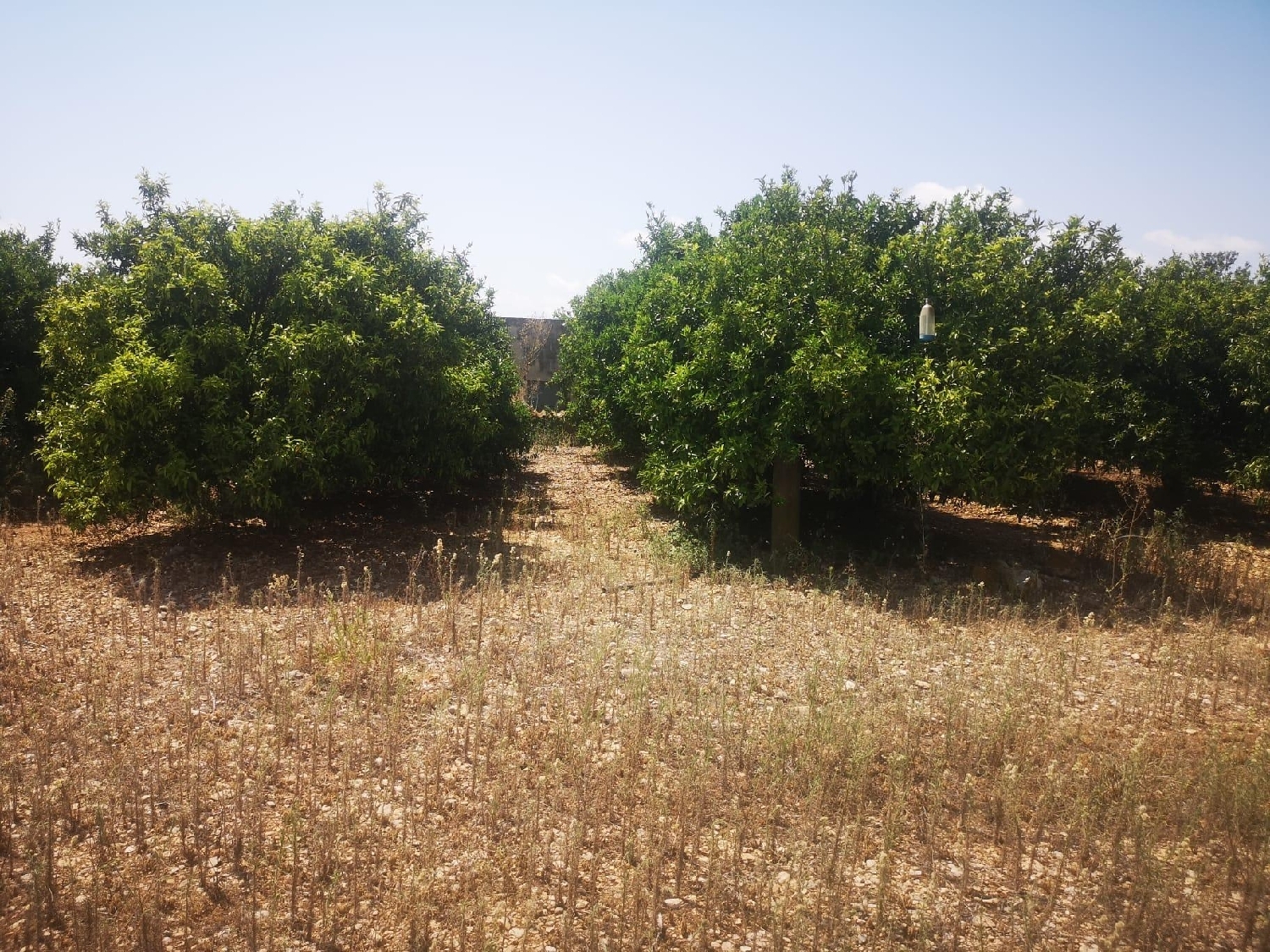  till salu hus San Rafael Del Río Baix Maestrat 7