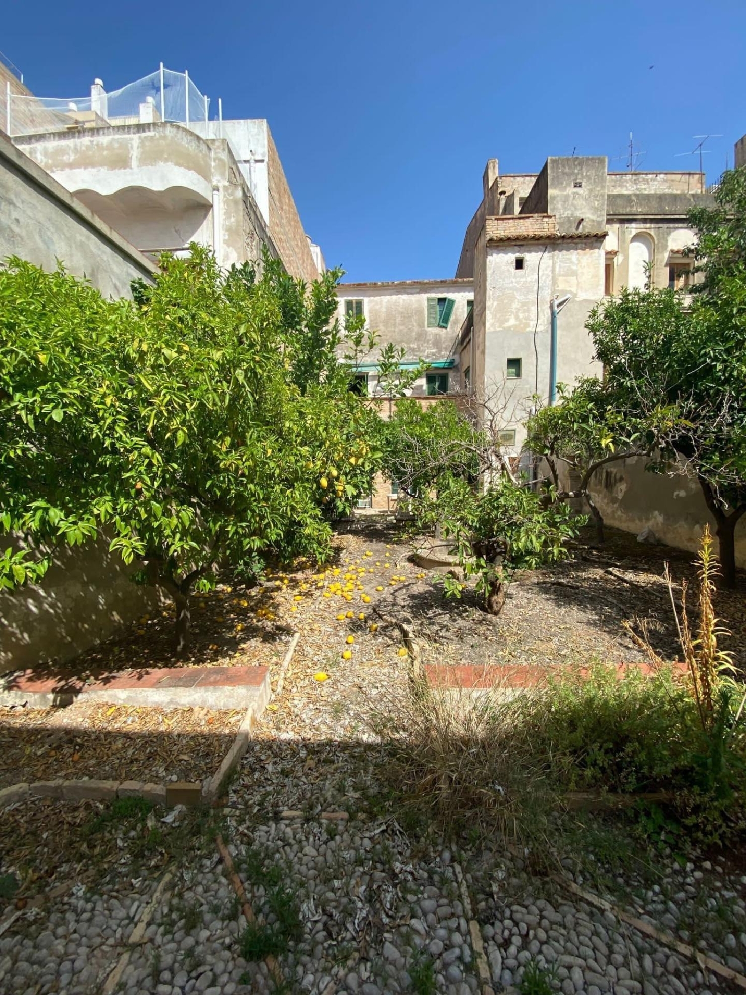  till salu hus Sant Carles De La Ràpita Montsià 4
