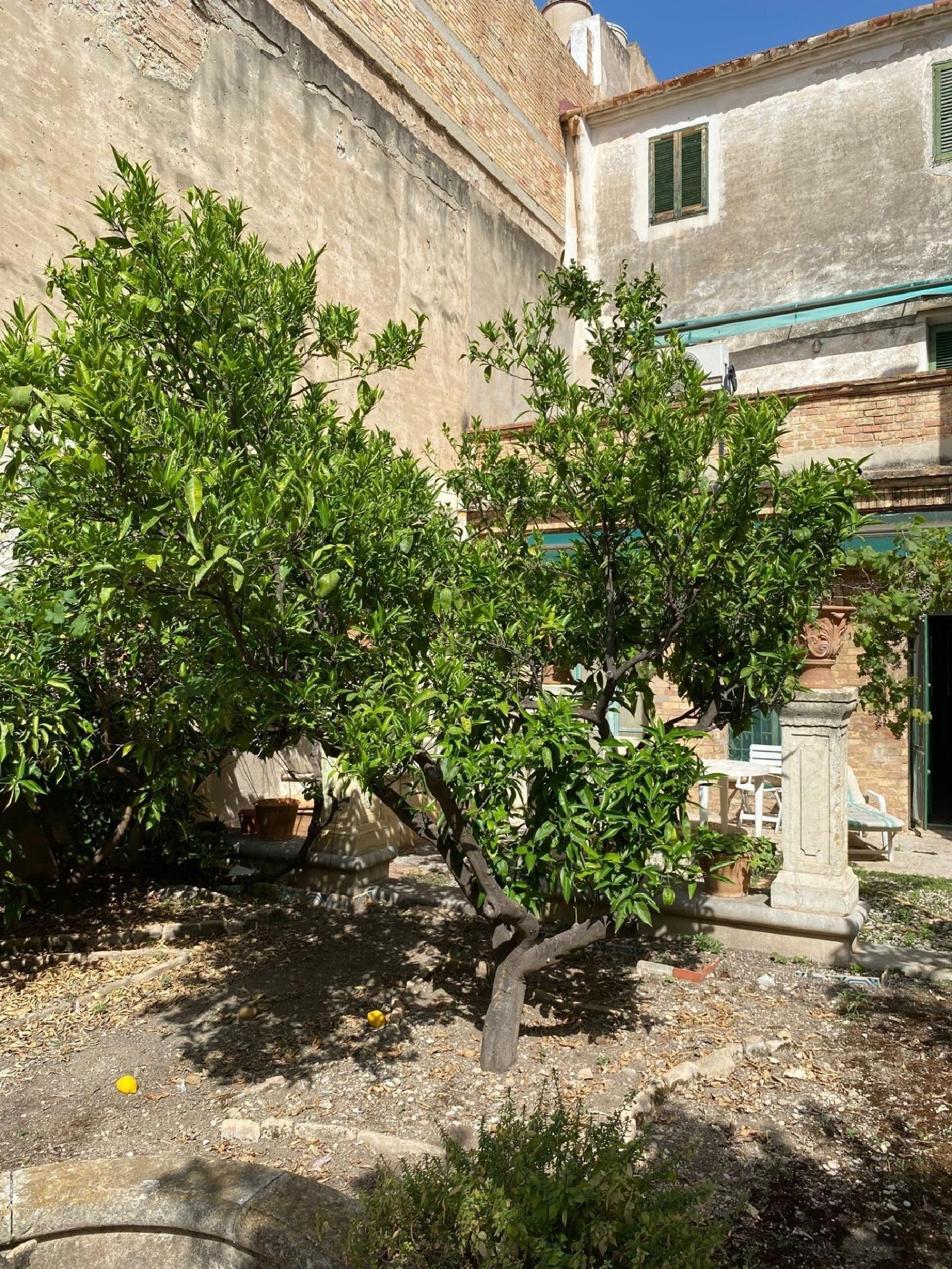  till salu hus Sant Carles De La Ràpita Montsià 5