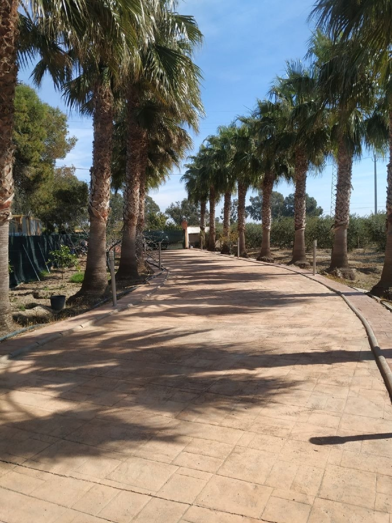  till salu hus Sant Carles De La Ràpita Montsià 5