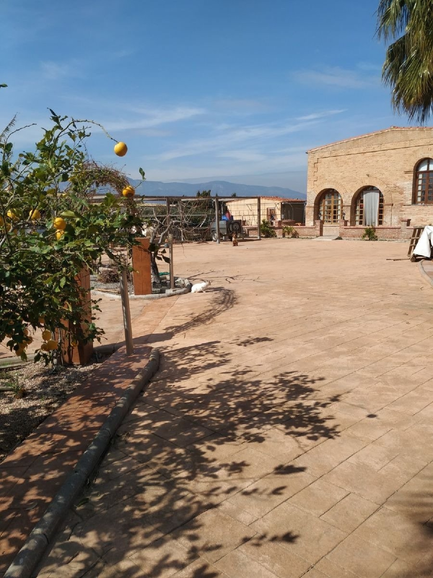  till salu hus Sant Carles De La Ràpita Montsià 8