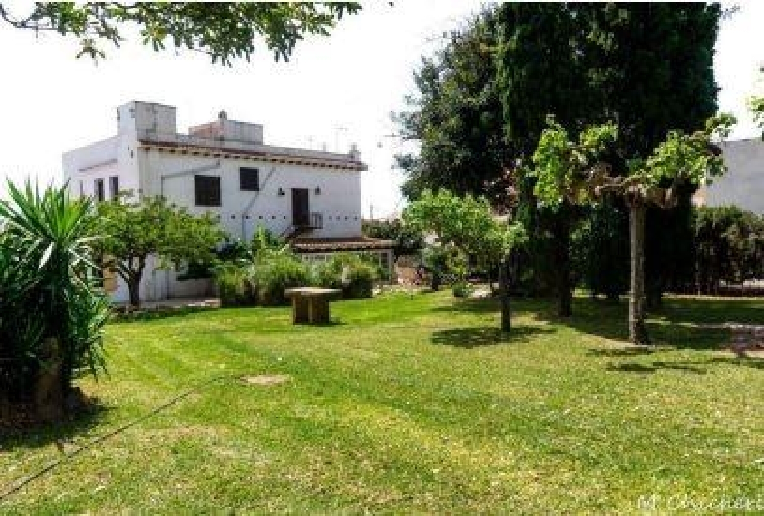  till salu hus Sant Carles De La Ràpita Montsià 7