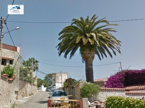 Sant Eloi Selva hus foto 6254152