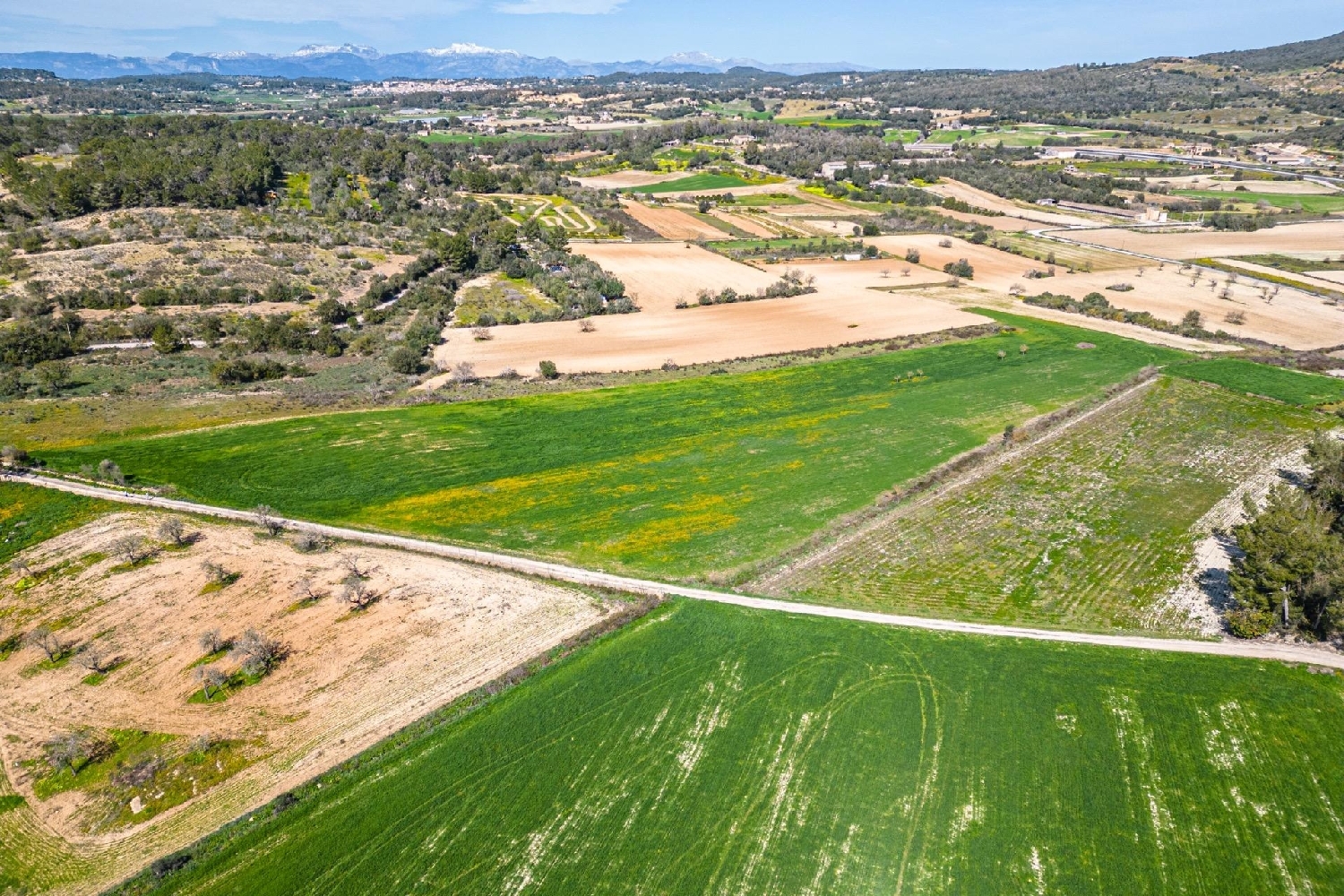 till salu hus Sant Joan Pla (Es) 3