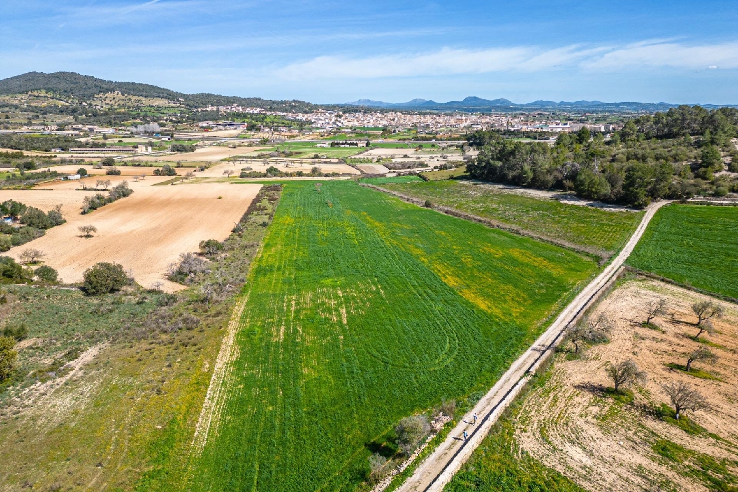  till salu hus Sant Joan Pla (Es) 5