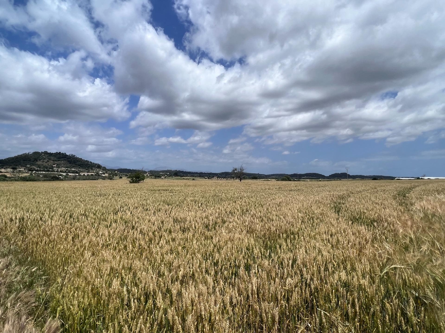  till salu hus Sant Joan Pla (Es) 6