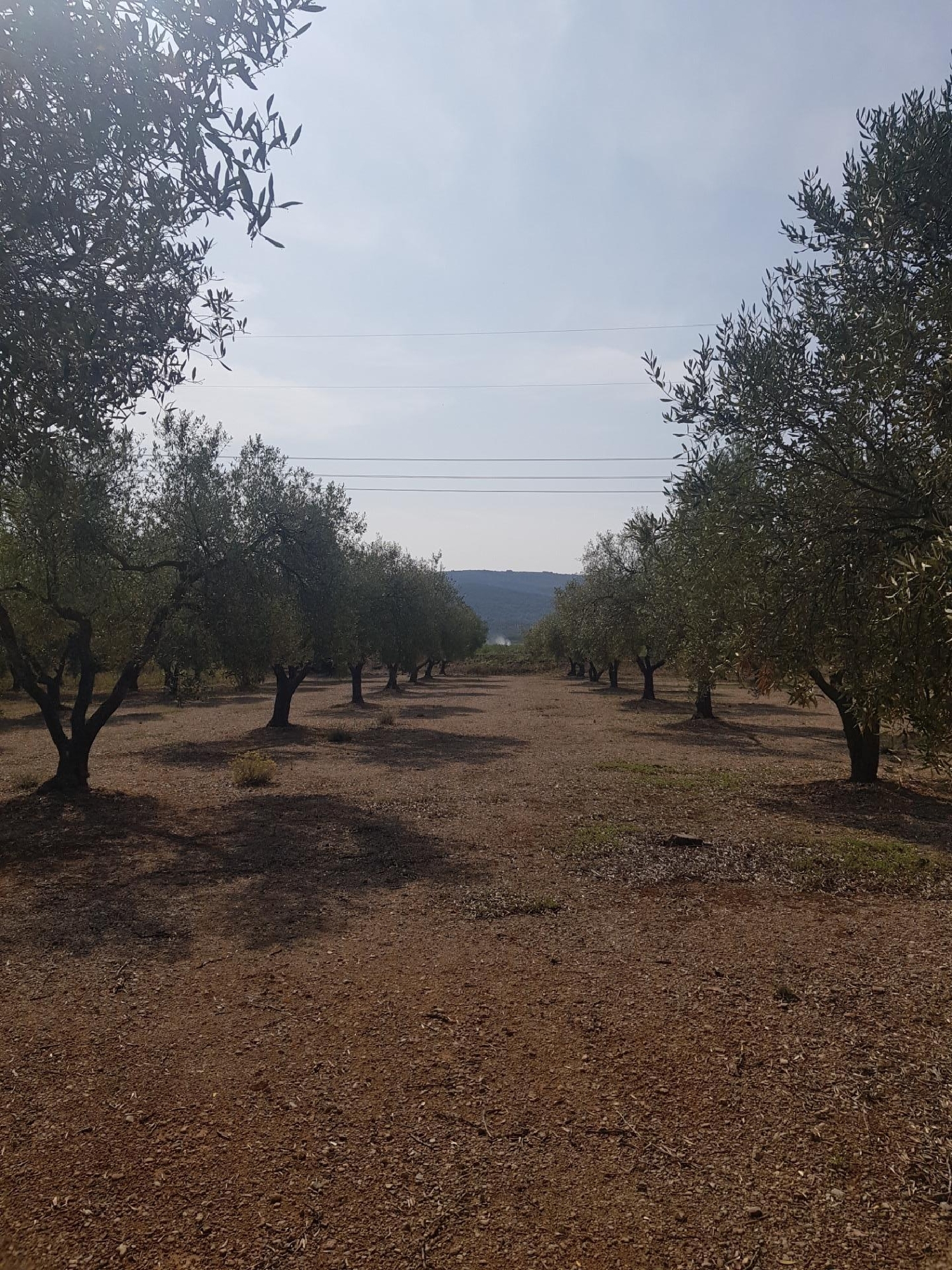 till salu hus Santa Bàrbara Montsià 3