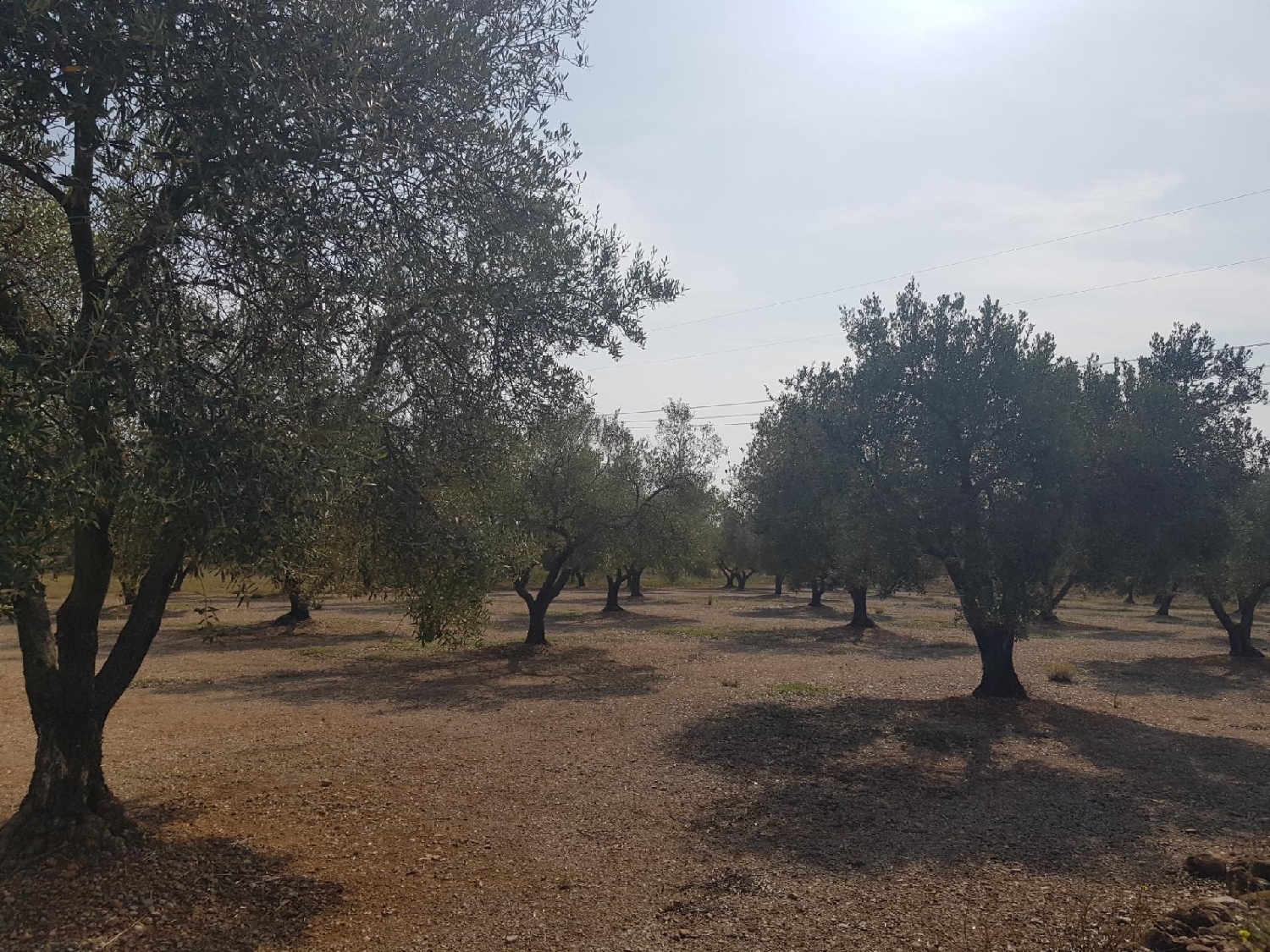  till salu hus Santa Bàrbara Montsià 1