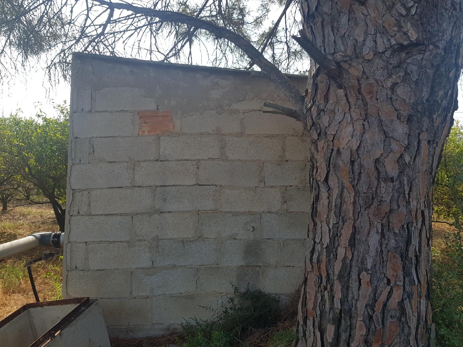  till salu hus Santa Bàrbara Montsià 8