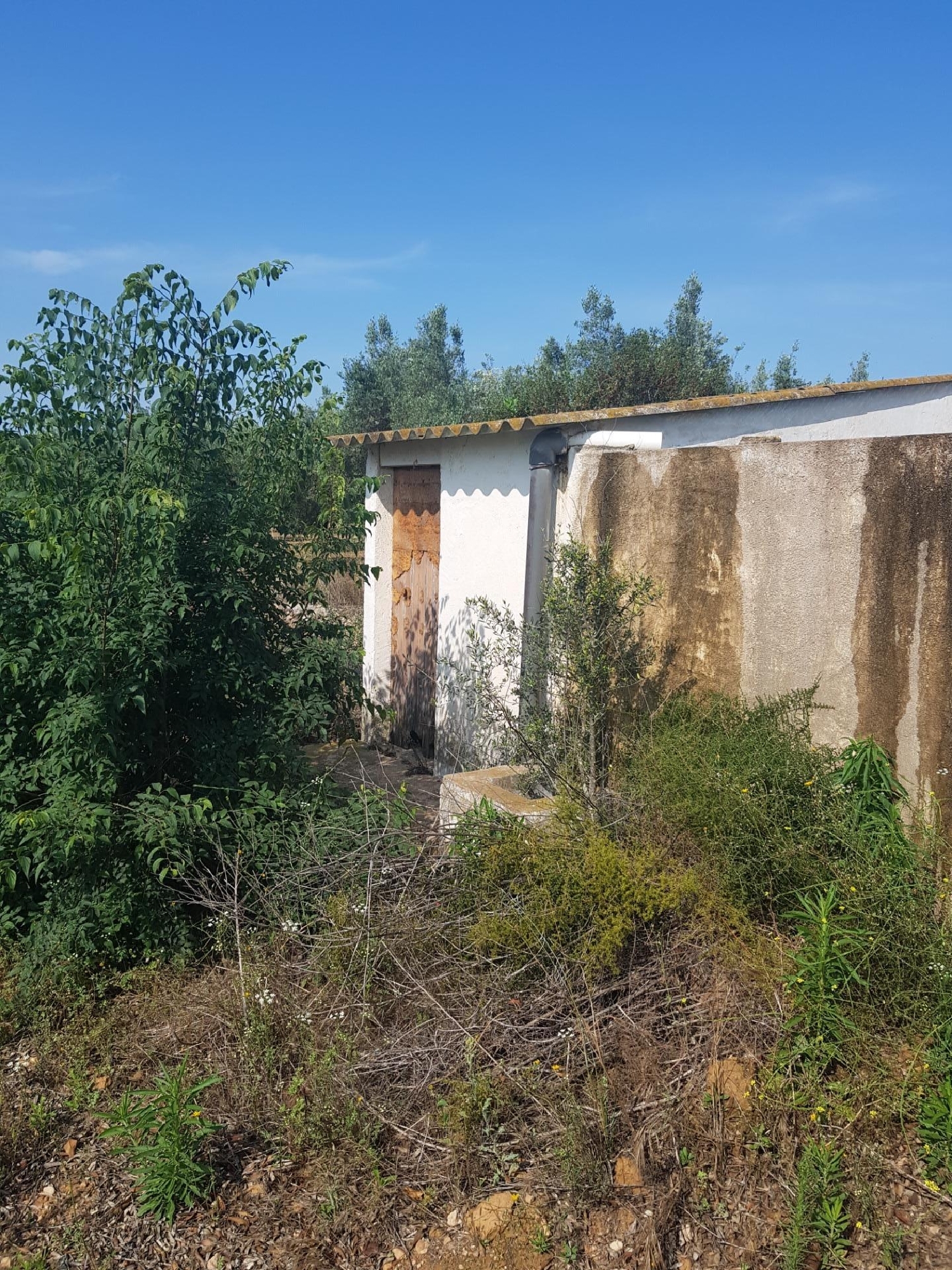  till salu hus Santa Bàrbara Montsià 4