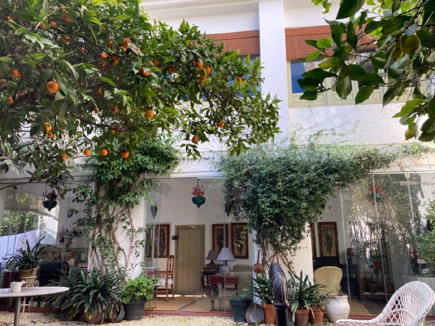 till salu hus Santa Clara Córdoba 5