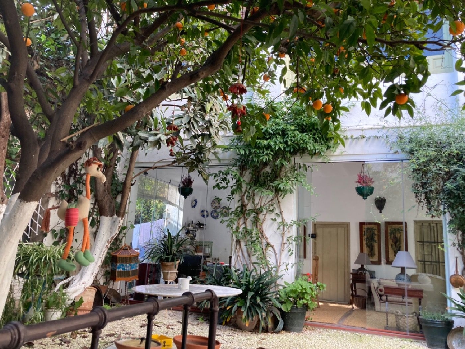  till salu hus Santa Clara Córdoba 6