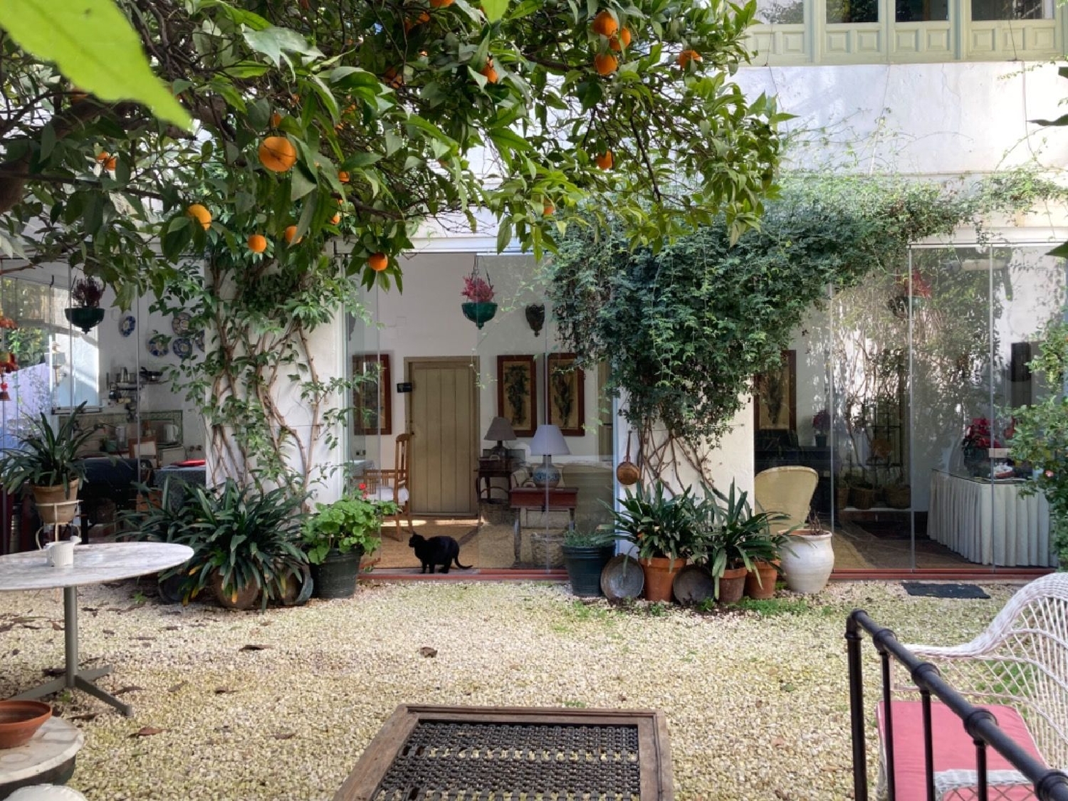  till salu hus Santa Clara Córdoba 4