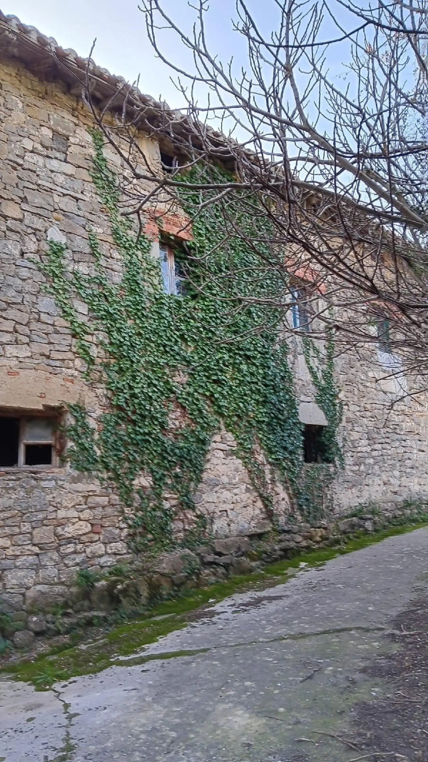 kaufen Haus Villanueva De Mena Merindades 2
