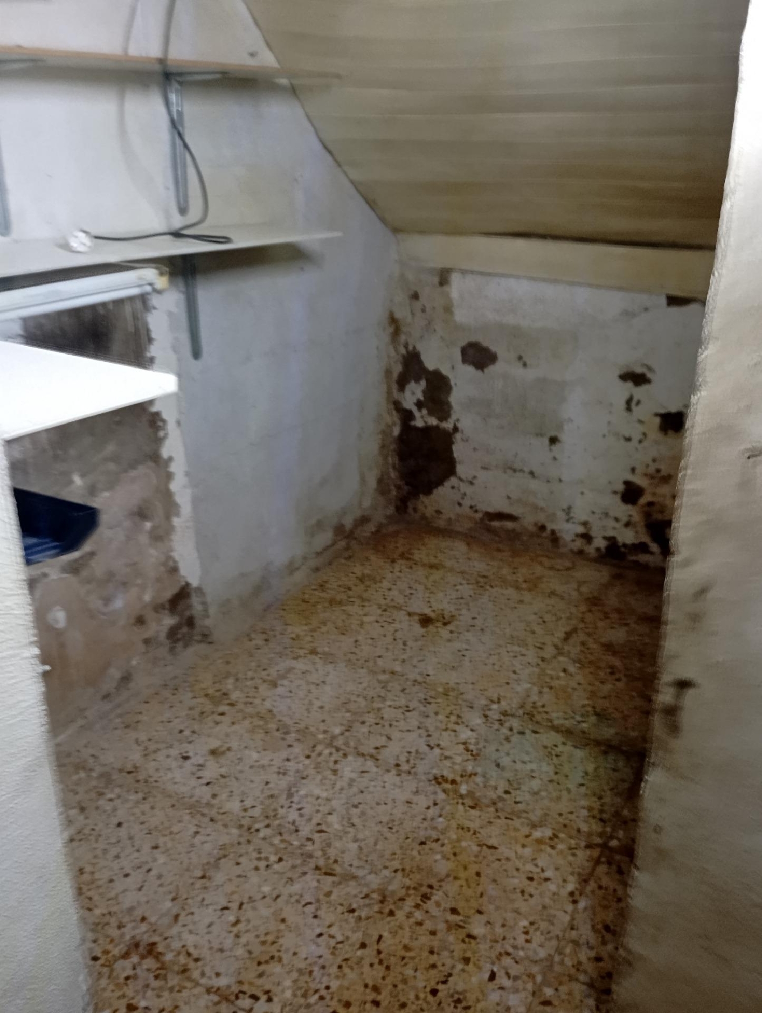  till salu hus Santiago El Mayor Huerta De Murcia 8