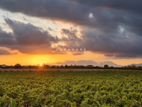 Sencelles Pla (Es) hus foto 6222742