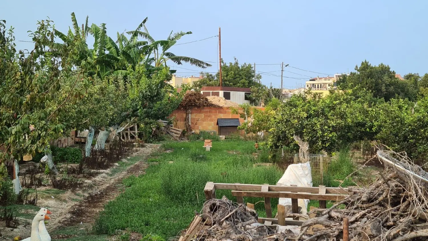  till salu hus Sentmenat Vallès Occidental 1