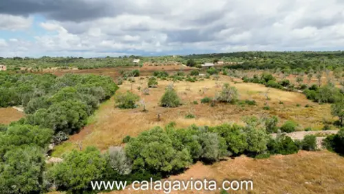 Ses Salines Sud hus foto 6207537